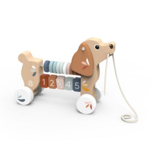 כלב נגרר מעץ