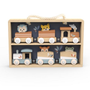 סט 6 רכבות מעץ