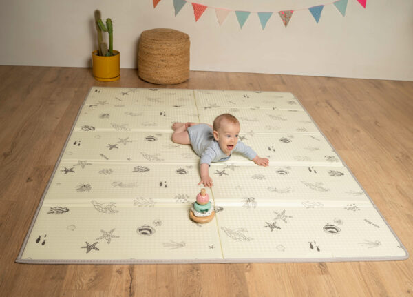 משטח פעילות 2.0 | מתחת לים – תמונה 2