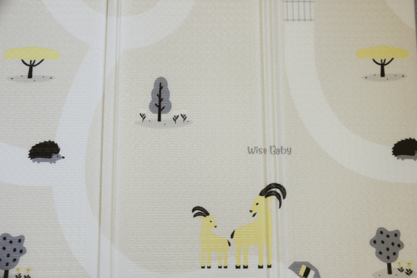 משטח פעילות 2.0 | שביל ישראל – תמונה 4