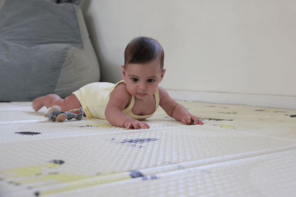 משטח פעילות 2.0 | שביל ישראל – תמונה 5