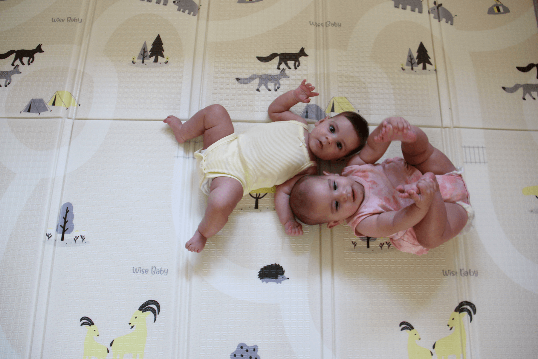 משטח פעילות 2.0 | שביל ישראל – תמונה 3