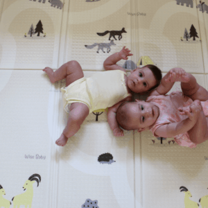 משטח פעילות 2.0 | שביל ישראל