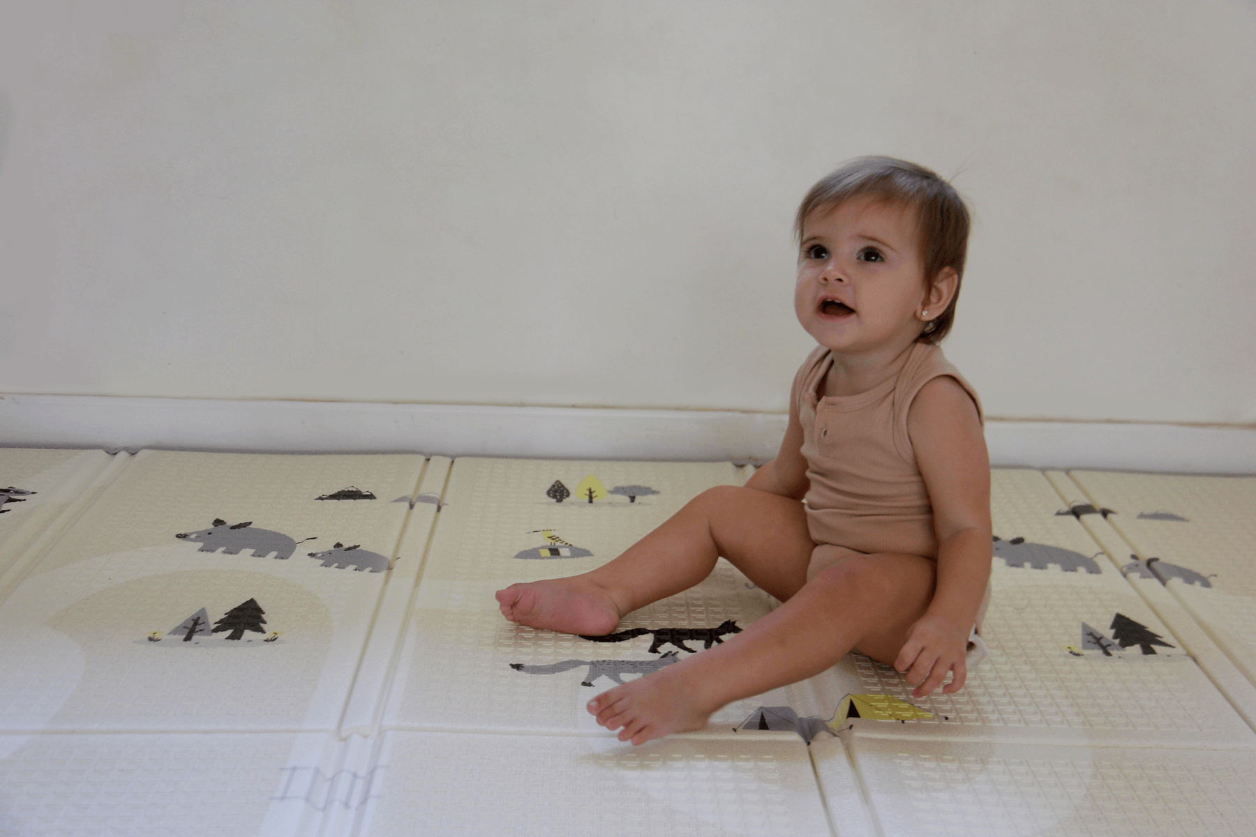 משטח פעילות 2.0 | שביל ישראל – תמונה 7