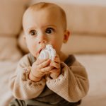 מגדל טבעות נשכנים צבעי פטל